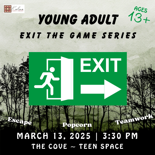 Young Adult Exit the Game Series